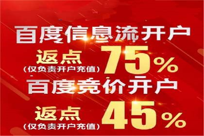 百度推广案例：精准广告投放策略解析